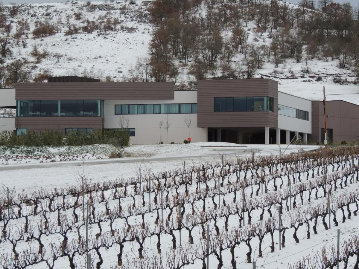 Hotel Bodegas Traslascuestas - Grupo Pierola Valcavado de Roa Exteriör bild